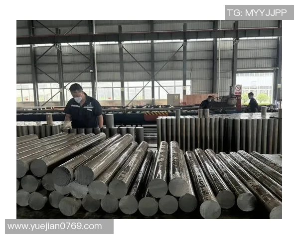 重庆排球队中路突破革新引领战术变革与未来发展探讨