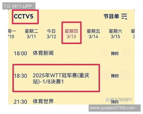 重庆网球队实力解析与对手比较深度剖析