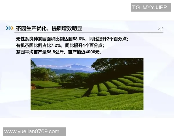 重庆网球队配合表现分析:数据揭示团队协作的关键因素与提升策略 重庆网球队配合表现分析:数据揭示团队协作的关键因素与提升策略