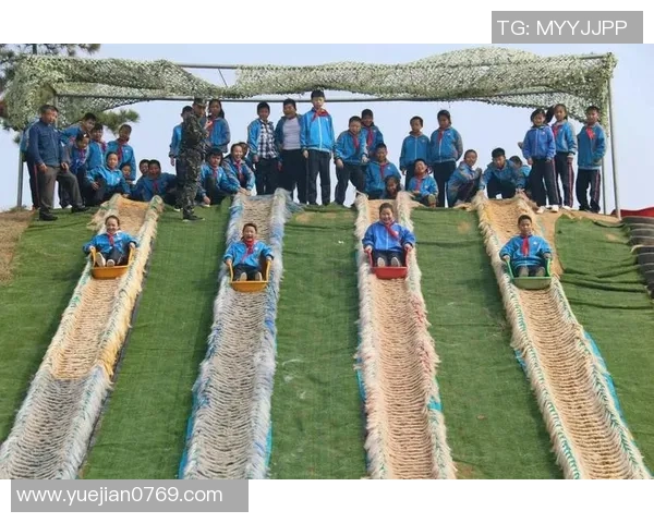 陈秀英的篮球人生深度对话探索她的成长与梦想之路