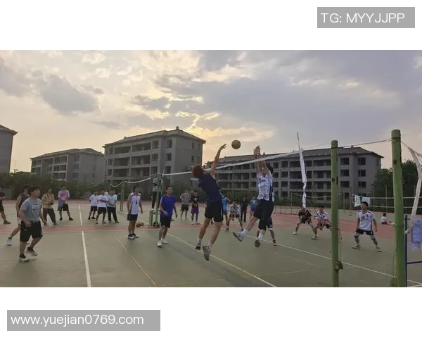 武汉排球队的精神与团队意识探讨：排球运动中的凝聚力与奋斗精神