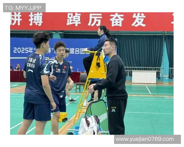 武汉羽毛球队在锦标赛中的比赛经验与表现分析及启示